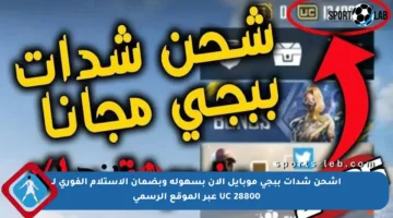 اشحن شدات ببجي موبايل الآن بسهولة وبضمان الاستلام الفوري لـ 28800 UC عبر الموقع الرسمي